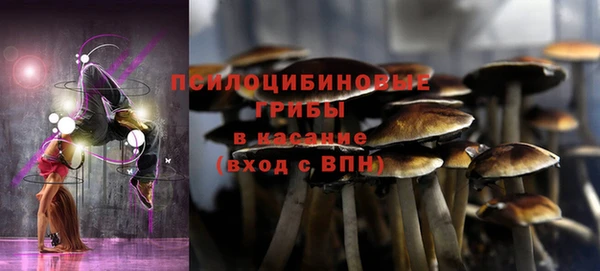 apvp Алзамай