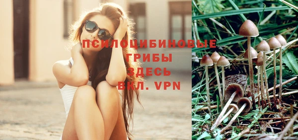 apvp Алзамай