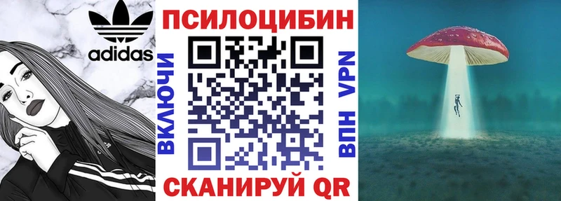 купить наркоту  Солигалич  Псилоцибиновые грибы Magic Shrooms 