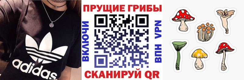 Псилоцибиновые грибы ЛСД Солигалич